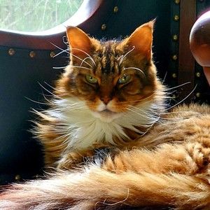 Meet your Posher, Julie